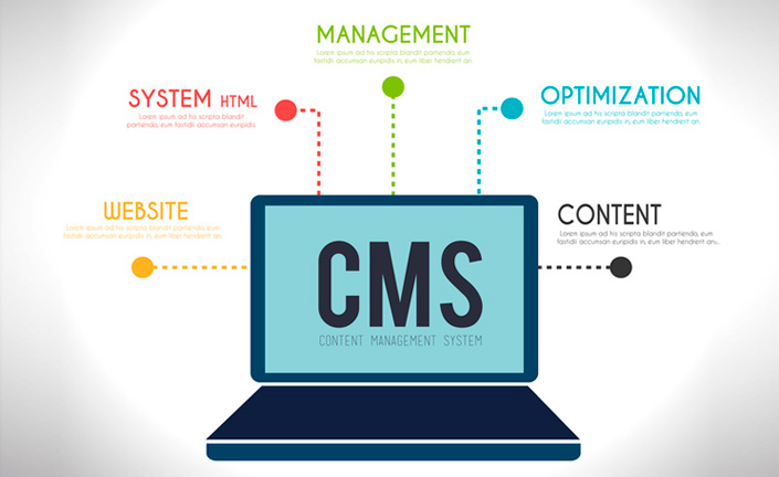 Content Management Systems (CMS) Company UK